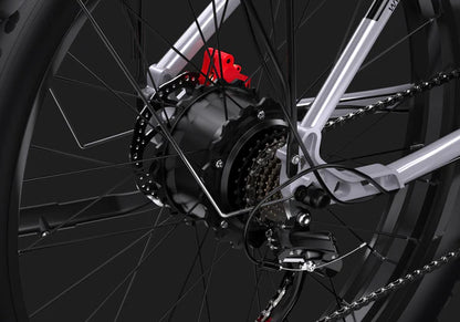 DUOTTS F26 Electric Fatbike