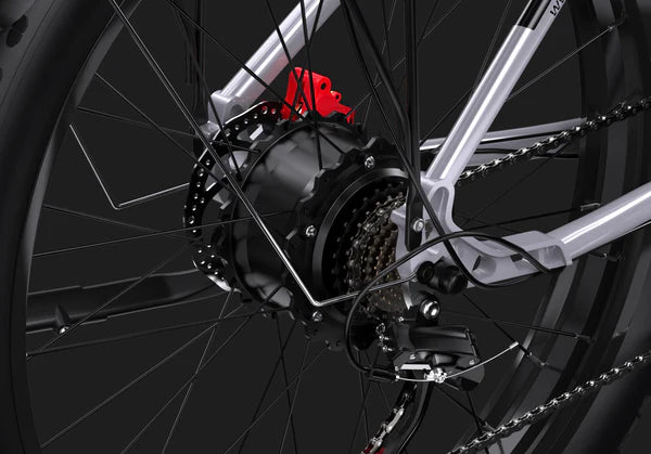 DUOTTS F26 Electric Fatbike