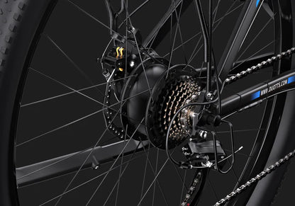 DUOTTS C29 Electric Hybrid Bike