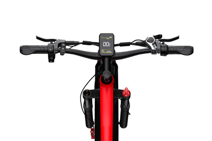 DUOTTS F26 Electric Fatbike