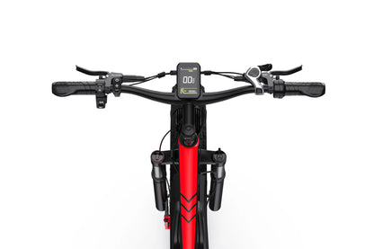 DUOTTS S26 Electric Fatbike